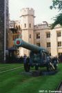 Torre di Londra: Cannone