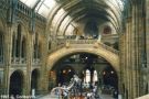 Natural History Museum: inside