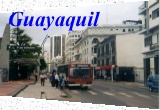 [Guayaquil Photo Gallery]