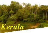 [India Kerala - Photo Gallery]