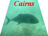 Queesalnd - Cairns - photo gallery