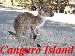 South Australia - Canguro Island - photo gallery