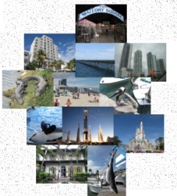 Florida 2012 Photo Gallery