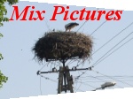 Poland - Mix Pictures Photo Gallery